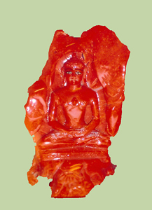 Red Coral